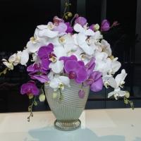 جام گل ارکیده