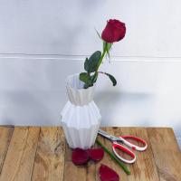رز هلندی قرمز