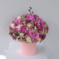 مینی باکس هلناز