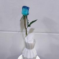 رز هلندی آبی