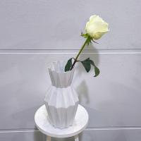 رز هلندی سفید