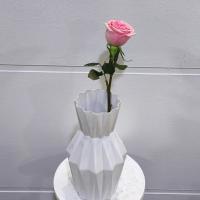 رز هلندی صورتی