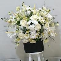 باکس گل دنیا