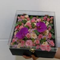 باکس مربع ژیوار