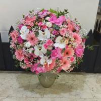 جار گل نرگس شفق