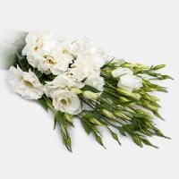 دسته گل لیسیانتوس سفید