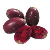انجیر کاکتوس (گزنهانگور)