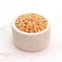 ذرت