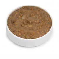 عدسی