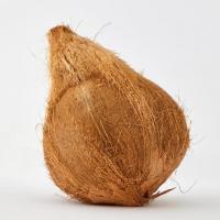نارگیل 