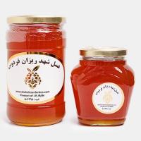 عسل تنه درختی با موم
