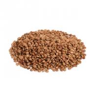 سماق قهوه ای