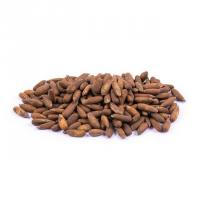 چلغوز با پوست