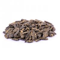 تخمه آفتابگردان برشته گلپری