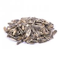 تخمه آفتابگردان برشته دور سفید