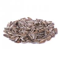 تخمه آفتابگردان دور سفید خام