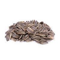 تخمه آفتابگردان دور سفید لیمویی