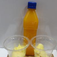 آب پرتقال بستنی سنتی (۲ نفره)