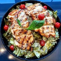 سالاد پستو متوسط با مرغ گریل