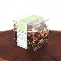 دمنوش لاغری رویال استوانه ای