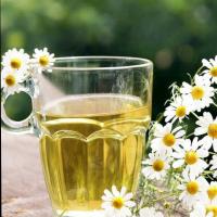 دمنوش بابونه