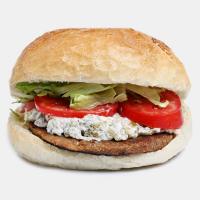 برگر معمولی دمس