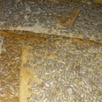 نان تخمه ای