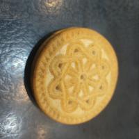 بیسکویت کرم دار ساده