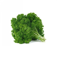 جعفری فری مجعد فرانسوی