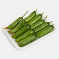 خیار اصفهان