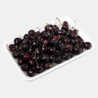 گیلاس ممتاز