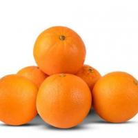 پرتقال تامسون شمال