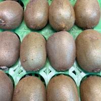 کیوی اقتصادی