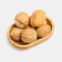 گردو پوست کاغذی