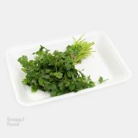 سبزی گشنیز پاک شده