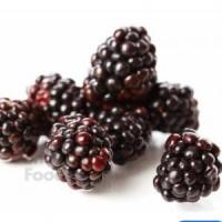 بلک بری منجمد