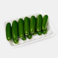 خیار سالادی