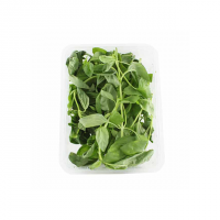 سبزی ریحان ایتالیایی