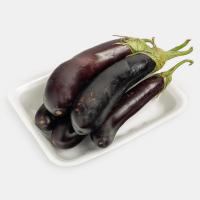 بادمجان بوته ای