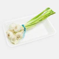 سیر تازه دزفول