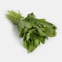 شاهی دسته ای