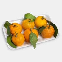 نارنگی برگی ممتاز