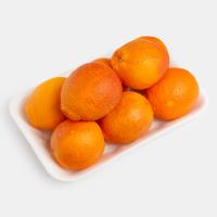 پرتقال تو سرخ جنوب