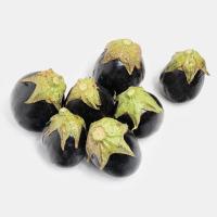 بادمجان دلمه درجه 2