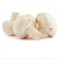 قارچ سفید فله