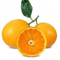 پرتقال تامسون شمال درجه 2