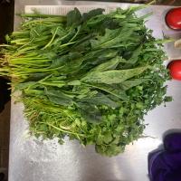 سبزی سوپ دسته ای