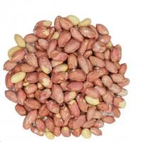 بادام زمینی