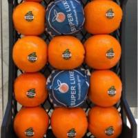 پرتقال ارگانيک شمال