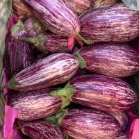 بادمجان خارجی